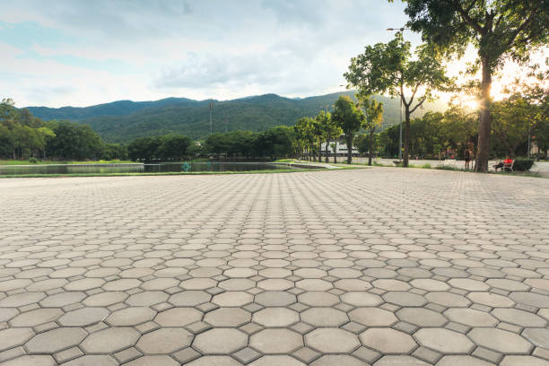 Best Concrete Paver Driveway  in Waterville, MN